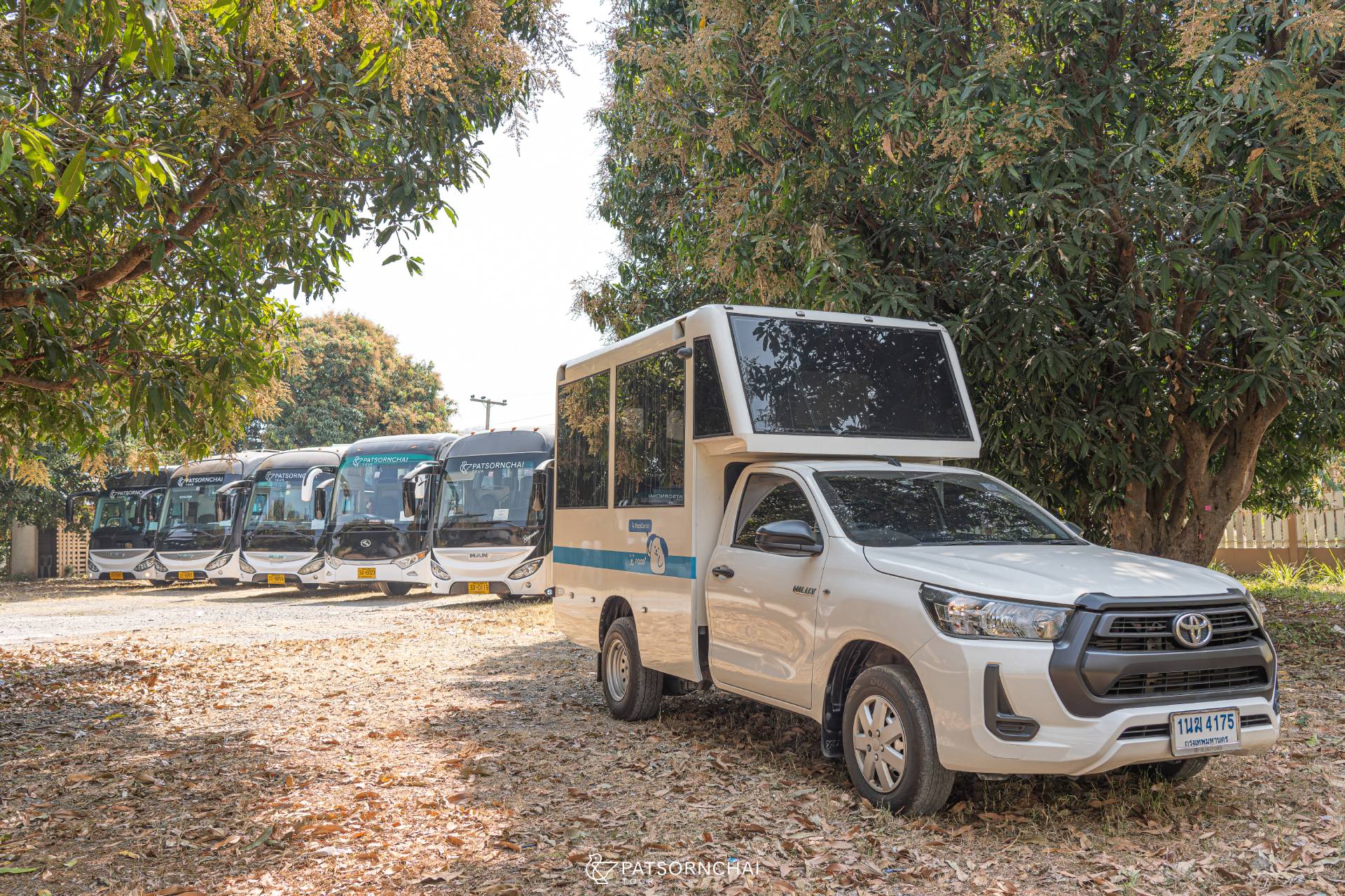 top | Patsornchai Tour