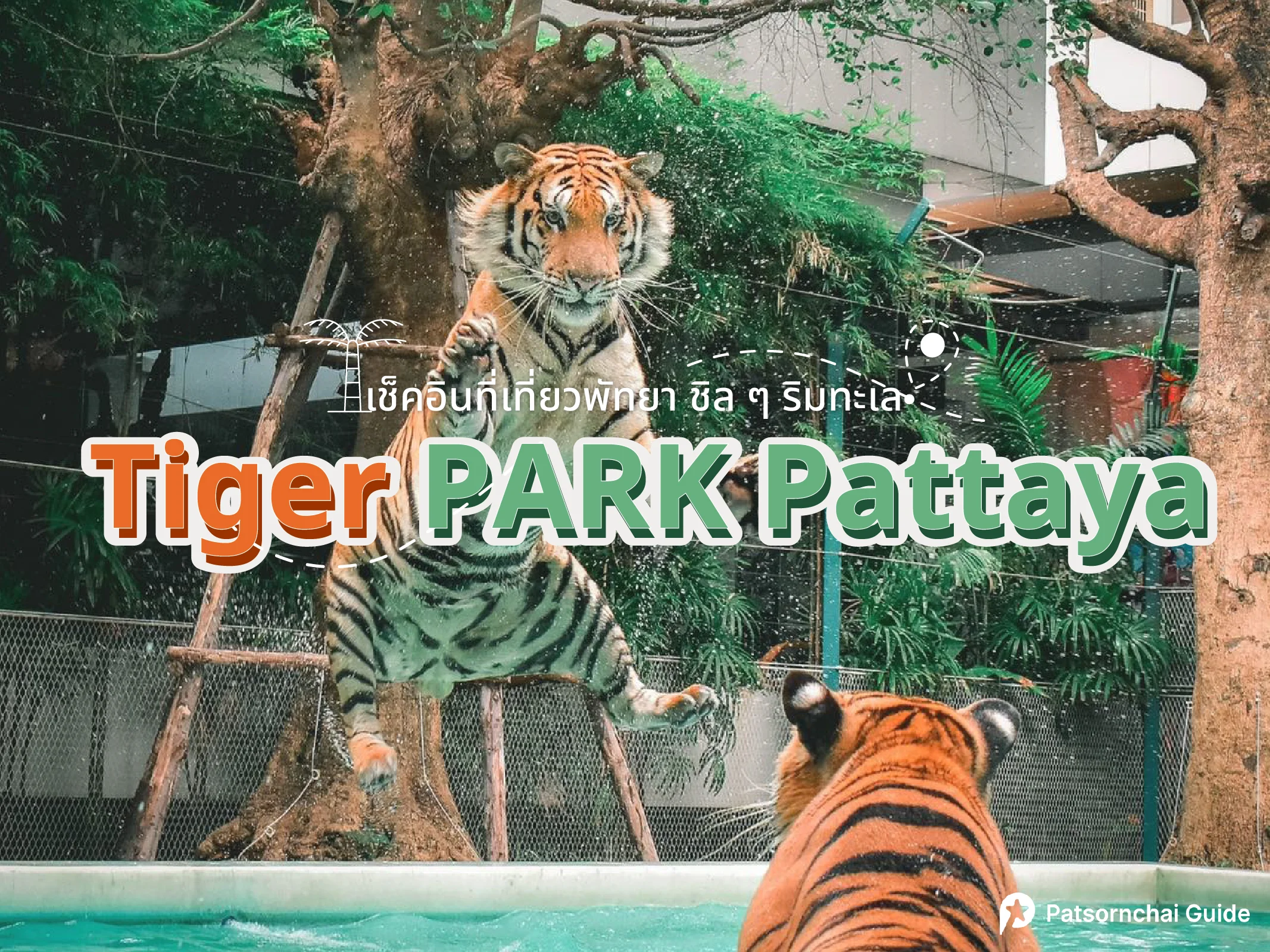 Tiger PARK Pattaya ที่เที่ยวพัทยา