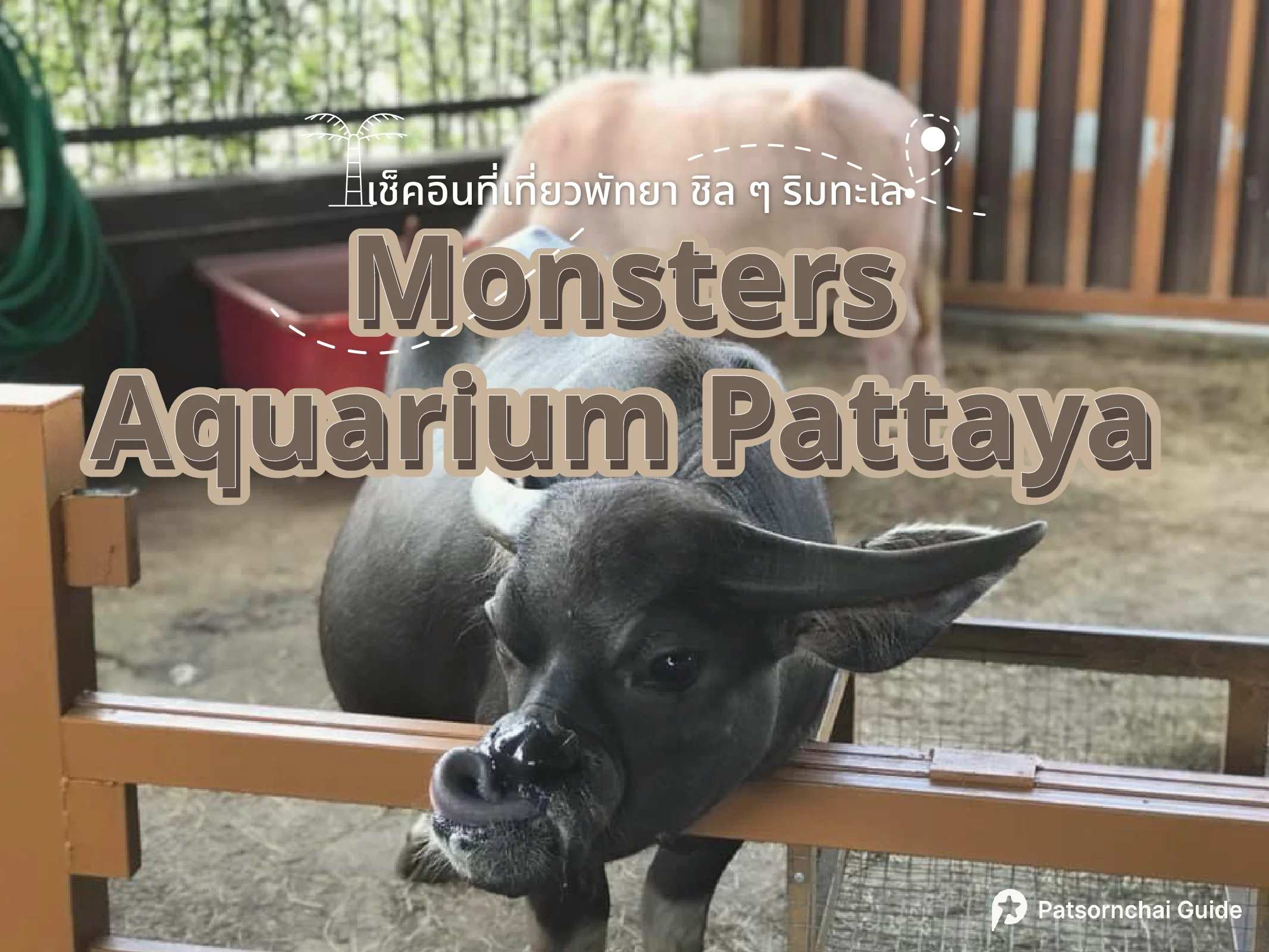Monsters aquarium pattaya ที่เที่ยวพัทยา