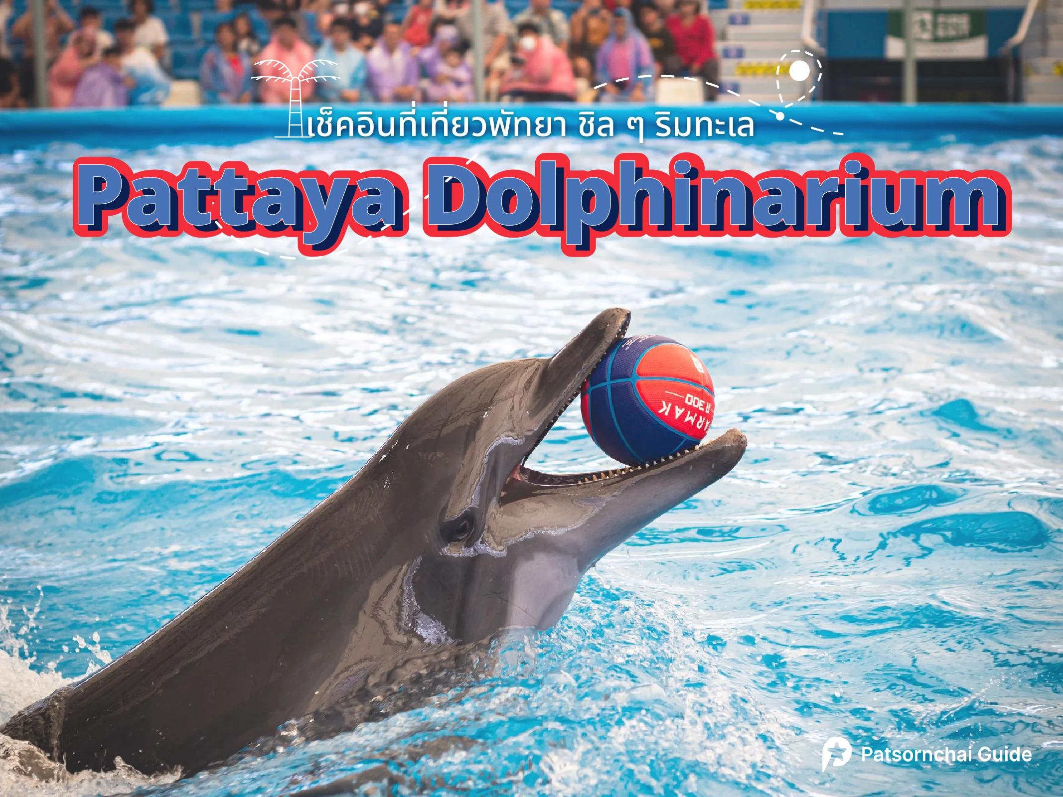 Pattaya Dolphinarium ที่เที่ยวพัทยา